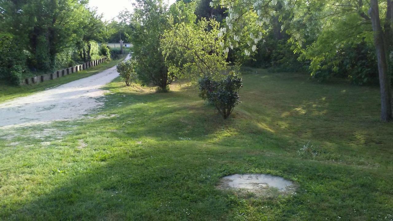Bed And Breakfast Sile E Natura Sant'Elena di Silea Eksteriør billede